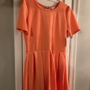 NWT Amelia Dress